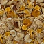 Marinated Assorty Mushroom